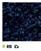 [167NR15] LAMINA DE DECORACION COVER STYL GLITTER R15 1.22 X ML