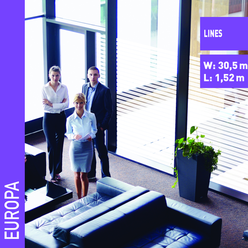 [167EUROPA] LAMINA DE DECORACION SOLAR SCREEN EUROPA 1.52 ml