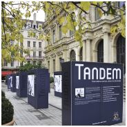 [175ADHBAN160] LONA ADHESIVA FERRARI DECOLIT 4744 IMP. SOLVENTE 1.60x50