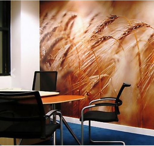 [42JT9300GPG63] VINILO MAC 5 AÑOS JT9300 BLANCO BRILLO ADH PERMANENTE GRIS 1.62X50