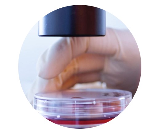 [167AMBERCINACTINIC] LAMINA ANTI UV / IR  INTERIOR SOLAR SCREEN AMBER C INACTINIC FILM 1.52X30.5, M.L.